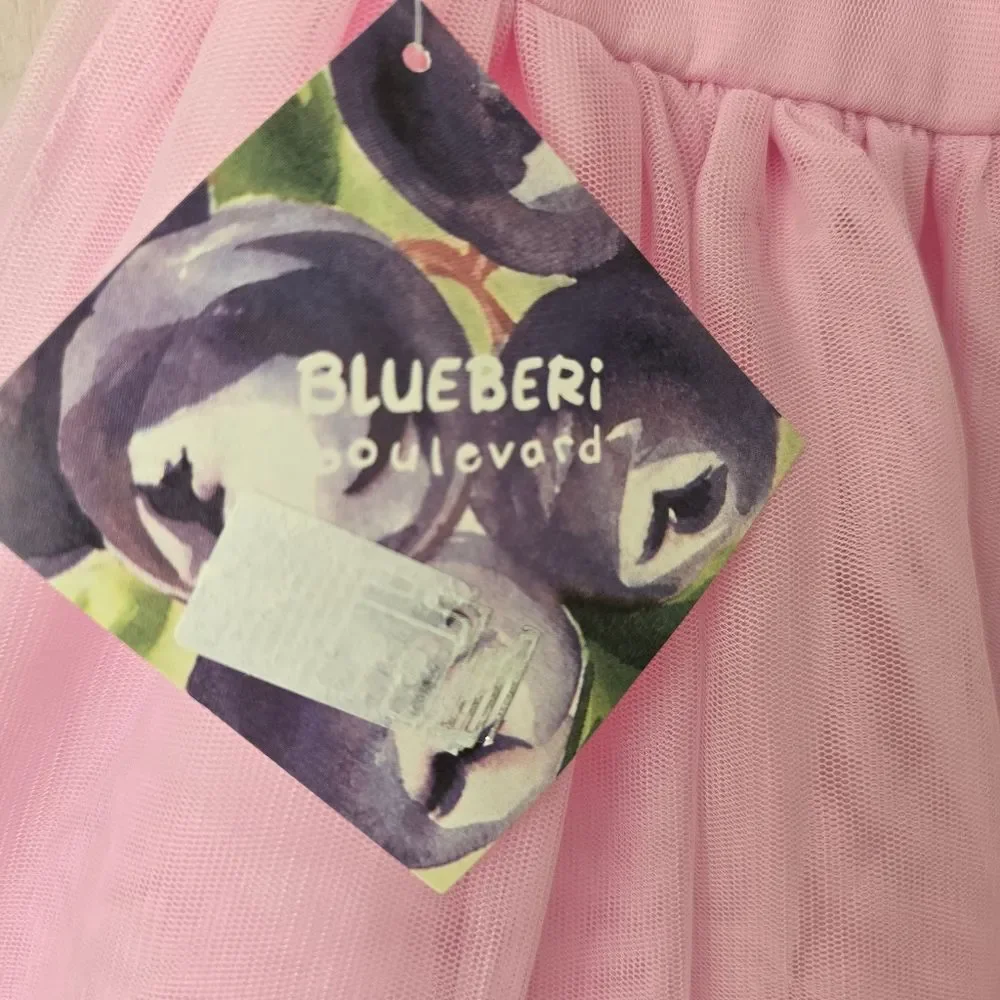 Blueberi Boulevard Baby Girls Embroidered Embellishment mesh dress 24 months